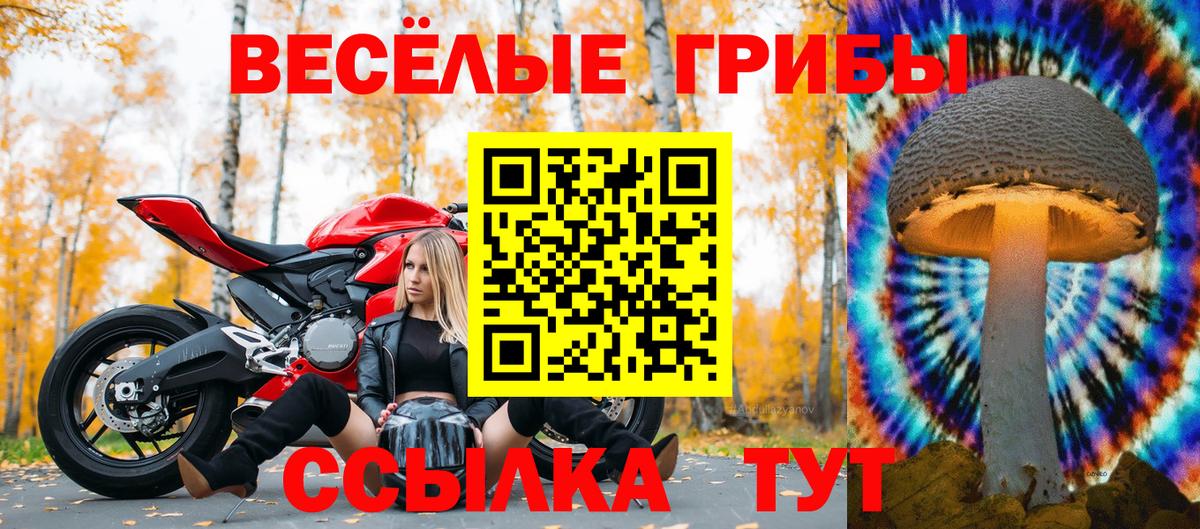Новокубанск  Псилоцибиновые грибы MAGIC MUSHROOMS  Вход с VPN 